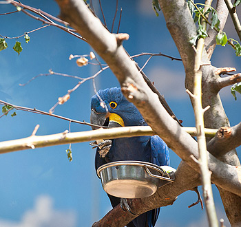 自动发货稳定的网站攻击软件