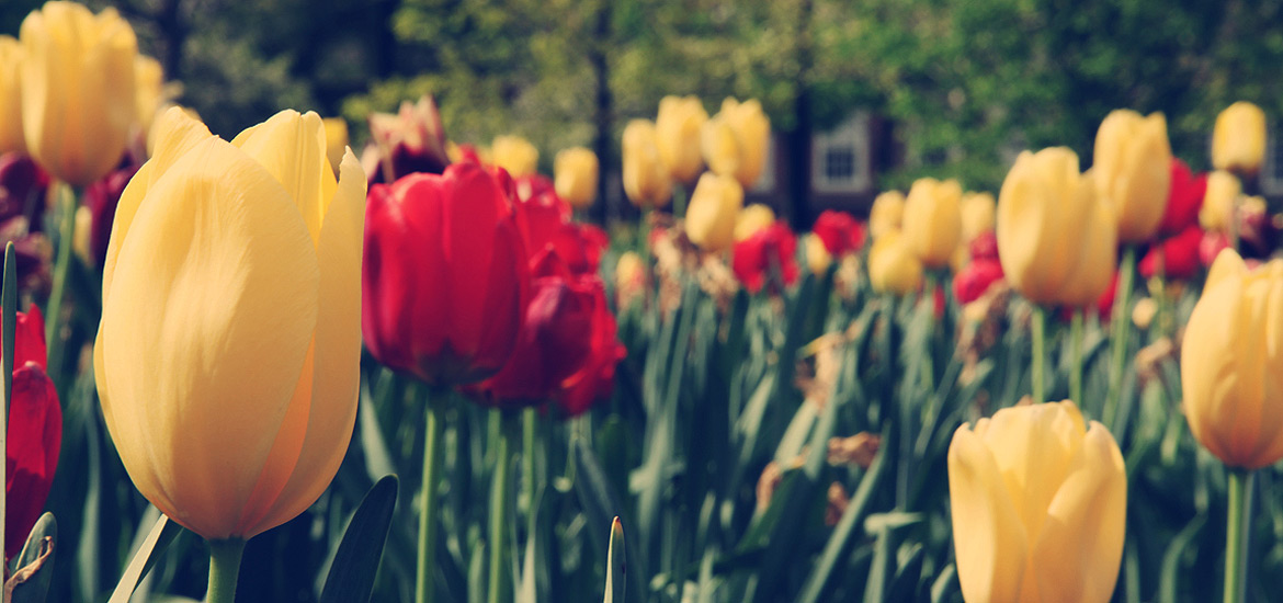 在线DDOS压力测试网页端