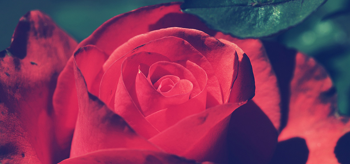 让生活更美好的网站攻击软件