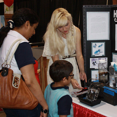 自动化运维的ddos网页端